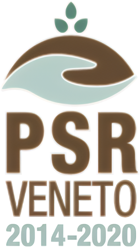 PSR Veneto